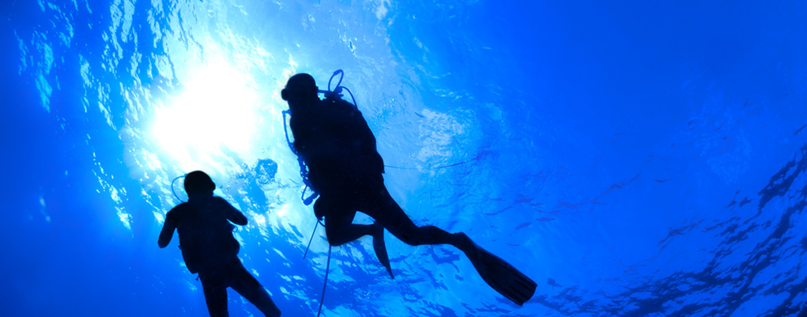 OC Lugo Diving